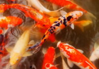 One Clear Advantage You and I Have Over Most Investment Professionals