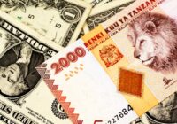 Earn 8% per annum in US Dollars on Tanzanian government bonds, via a European investment vehicle