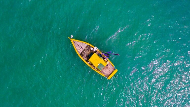 The Importance of having an investment process