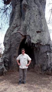 Tim in front of a Baobab tree previously known as the "Poachers Hide," now fully occupied by bats