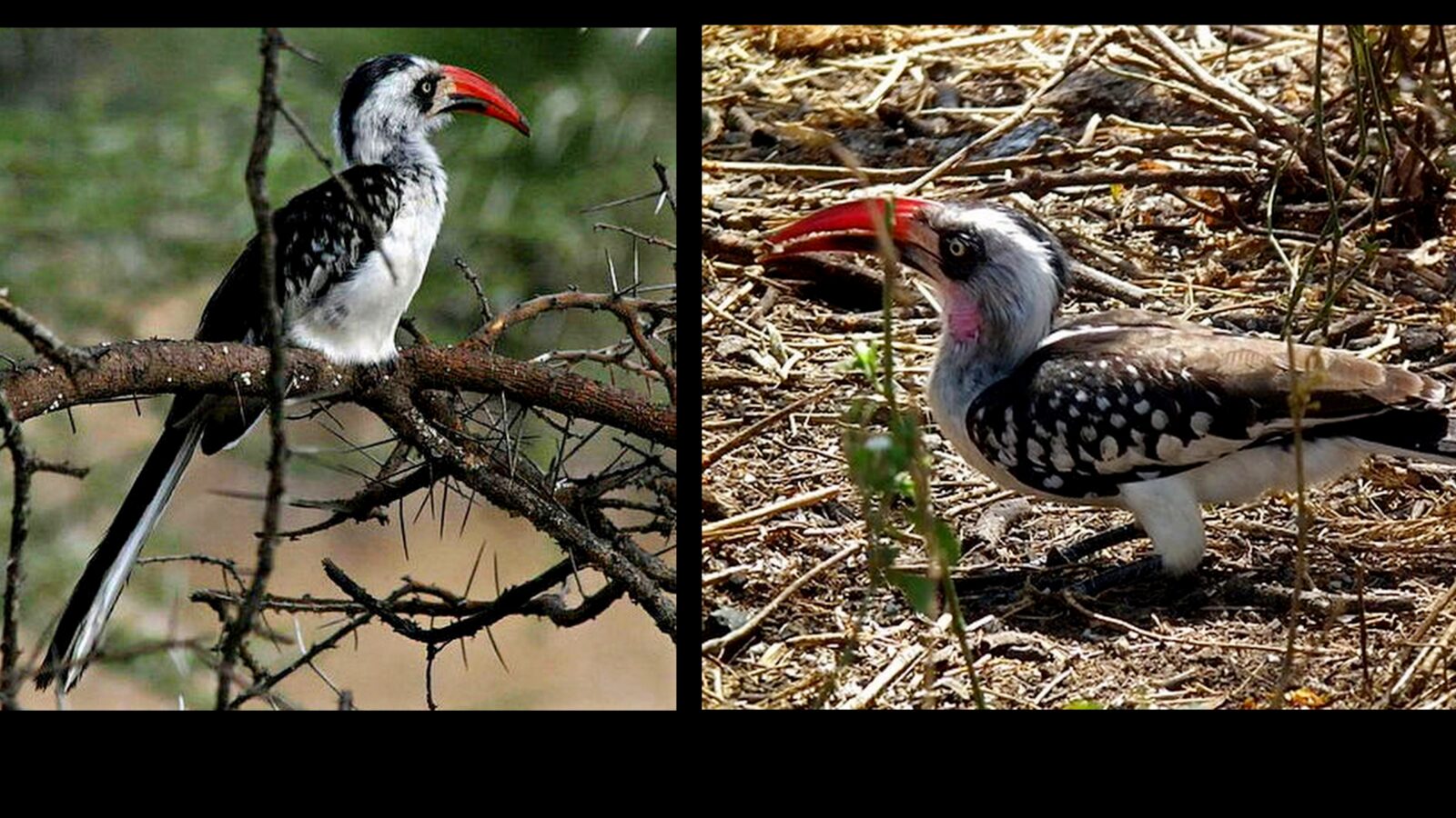 The most blindingly obvious opportunity in the investment markets today cover