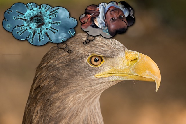 Critical thinking in investing and life