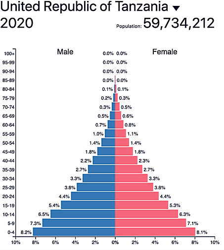 Tanzania demographics 2020