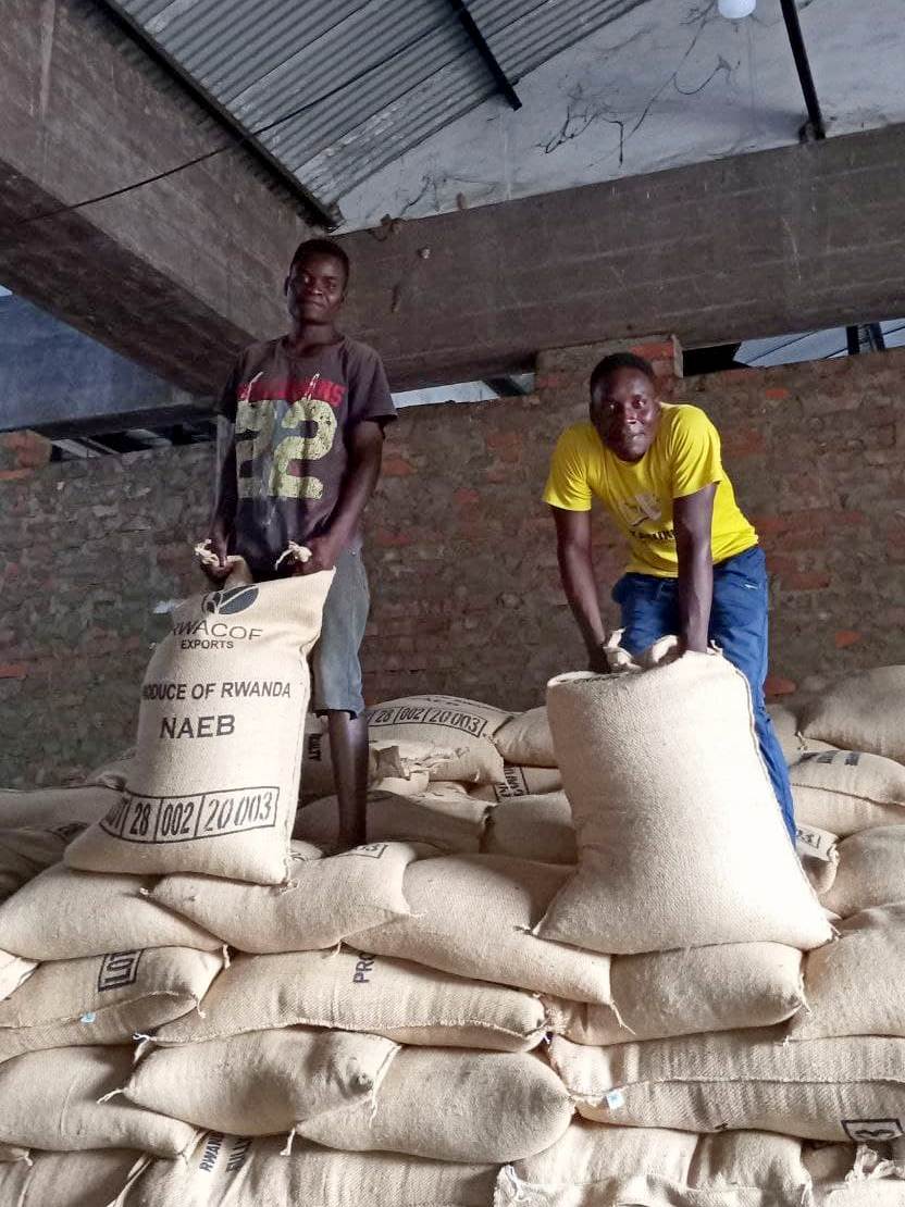 Rwandan coffee bound to the Netherlands